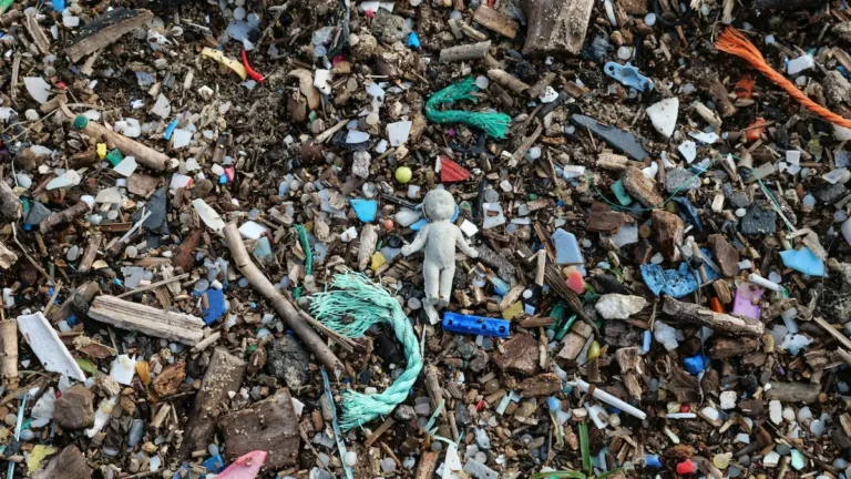 small pieces of plastic